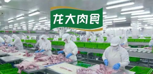 供需失衡下的藍海機遇 解析有機肥市場補缺路徑